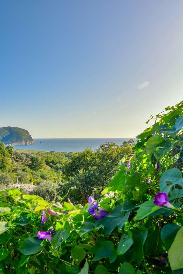 Pataki Guesthouse Petrovac Eksteriør billede