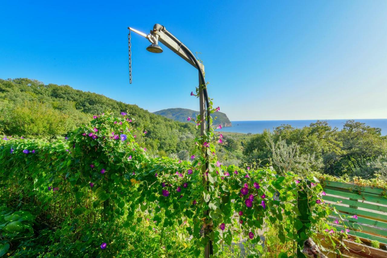 Pataki Guesthouse Petrovac Eksteriør billede