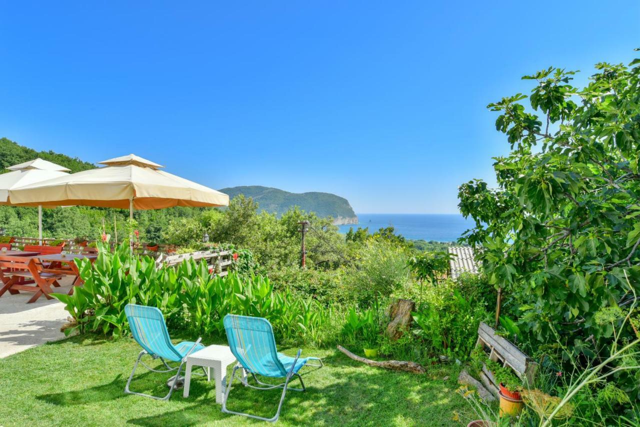 Pataki Guesthouse Petrovac Eksteriør billede