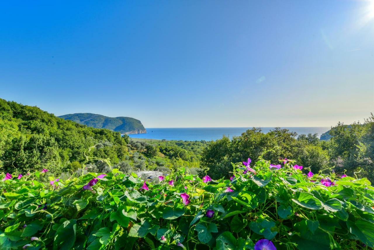 Pataki Guesthouse Petrovac Eksteriør billede